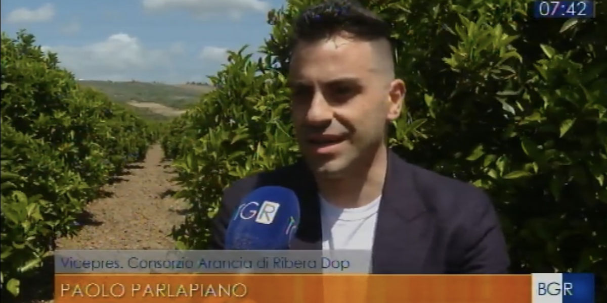 Parlapiano protagonista del Tgr Sicilia